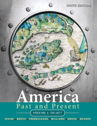America Past And Present Volume 2 - Robert A Divine