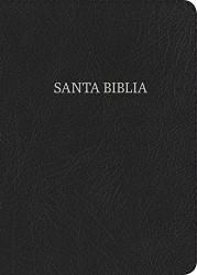 NVI Biblia Letra S·per Gigante negro piel fabricada