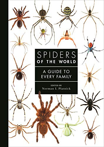 Spiders of the World: A Natural History