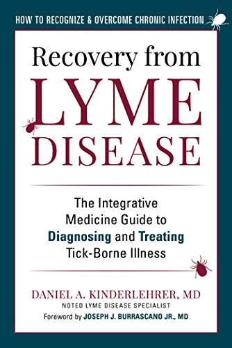 Recovery from Lyme Disease