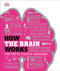 How the Brain Works: The Facts Visually Explained