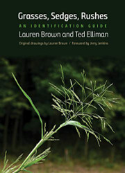 Grasses Sedges Rushes: An Identification Guide