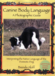 Canine Body Language