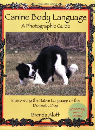 Canine Body Language