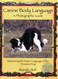 Canine Body Language