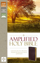 Amplified Holy Bible Bonded Leather Burgundy Indexed