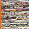 Magnum Degrees by Michael Ignatieff