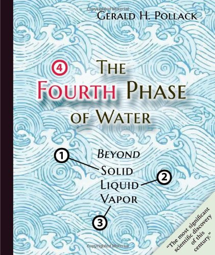Fourth Phase of Water: Beyond Solid Liquid and Vapor