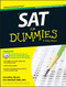 SAT for Dummies