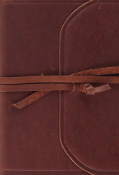 ESV Large Print Compact Bible (Flap with Strap)