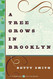 Tree Grows in Brooklyn (Modern Classics)
