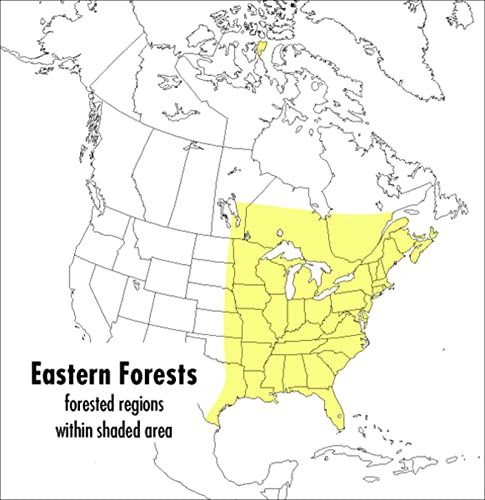Field Guide to Eastern Forests: North America
