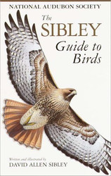 Sibley Guide To Birds