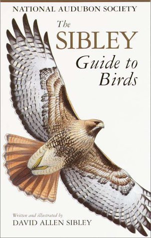 Sibley Guide To Birds