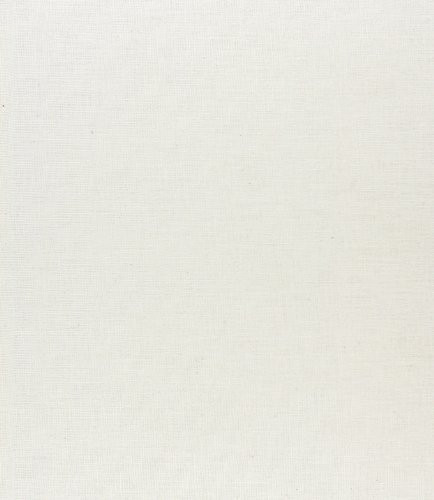 Wisdom of the Hive: The Social Physiology of Honey Bee Colonies