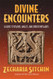 Divine Encounters: A Guide to Visions Angels and Other Emissaries