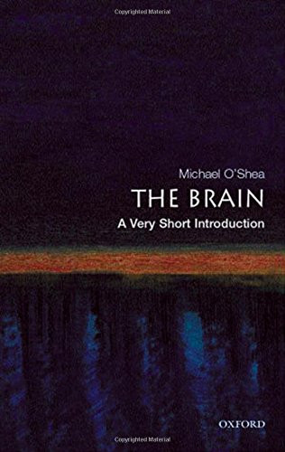 Brain: A Very Short Introduction