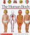 Human Body: A First Discovery Book