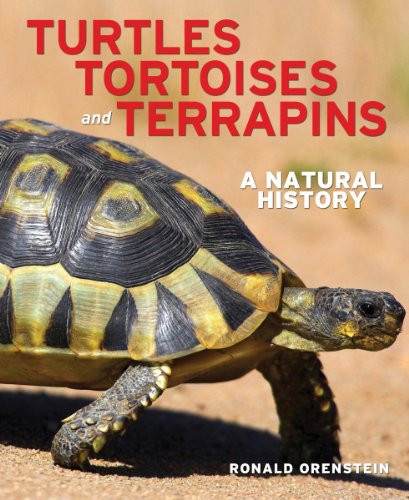 Turtles Tortoises and Terrapins: A Natural History