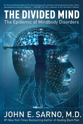 Divided Mind: The Epidemic of Mindbody Disorders