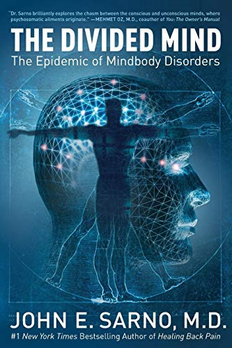 Divided Mind: The Epidemic of Mindbody Disorders