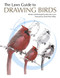 Laws Guide to Drawing Birds The