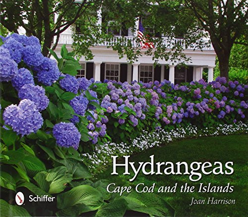 Hydrangeas: Cape Cod and the Islands