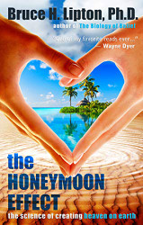 Honeymoon Effect: The Science of Creating Heaven on Earth