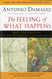 Feeling of What Happens: Body and Emotion in the Making of Consciousness