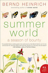 Summer World: A Season of Bounty