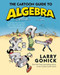 Cartoon Guide to Algebra (Cartoon Guide Series)