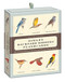 Sibley Backyard Birding Flashcards