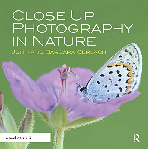 Close Up Photography in Nature