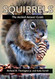 Squirrels: The Animal Answer Guide