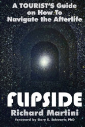 FlipSide: A Tourist's Guide on How to Navigate the Afterlife