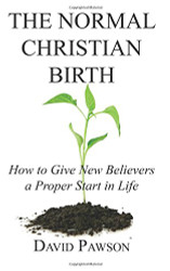 Normal Christian Birth: How to Give New Believers a Proper Start in Life