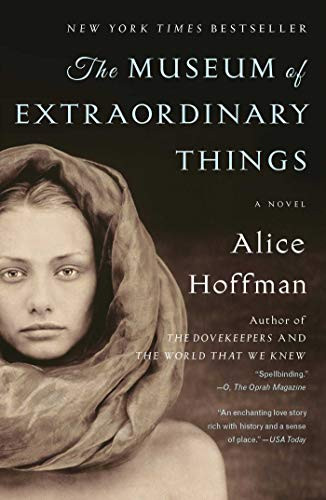 Museum of Extraordinary Things: A Novel