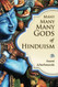 Many Many Many Gods of Hinduism