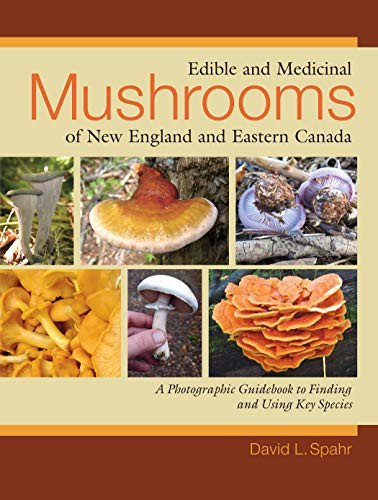 Edible and Medicinal Mushrooms of New England and Eastern Canada Edible and Medicinal Mushrooms of New England and Eastern Canada