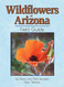 Wildflowers of Arizona Field Guide (Arizona Field Guides)