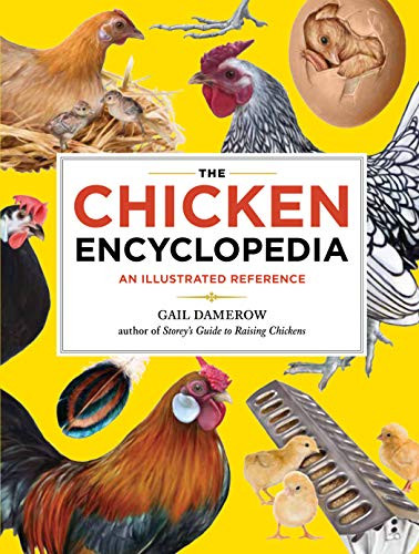 Chicken Encyclopedia: An Illustrated Reference