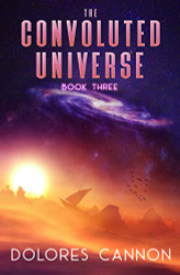 Convoluted Universe Book 3