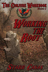 Conjure Workbook Volume 1: Working the Root