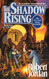 Shadow Rising (The Wheel of Time Book 4)