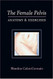 Female Pelvis Anatomy & Exercises