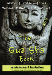 BIG "Little" Gua Sha Book: Learning