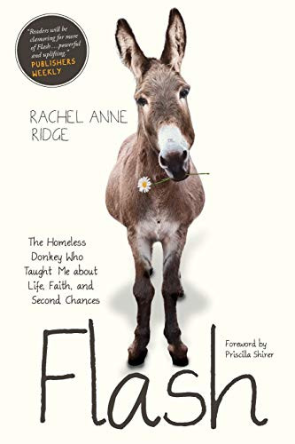 Flash: The Homeless Donkey Who Taught Me about Life Faith and Second Chances