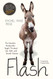 Flash: The Homeless Donkey Who Taught Me about Life Faith and Second Chances