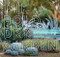 Bold Dry Garden: Lessons from the Ruth Bancroft Garden