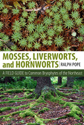 Mosses Liverworts and Hornworts: A Field Guide to Common